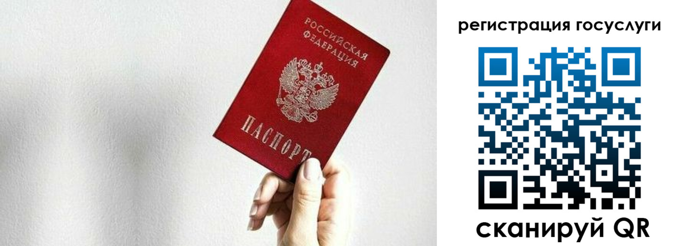 прописка гарантия в Сураже